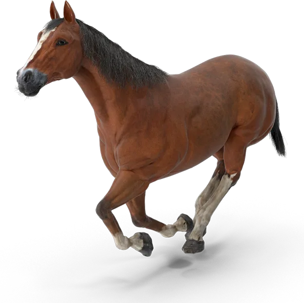 678